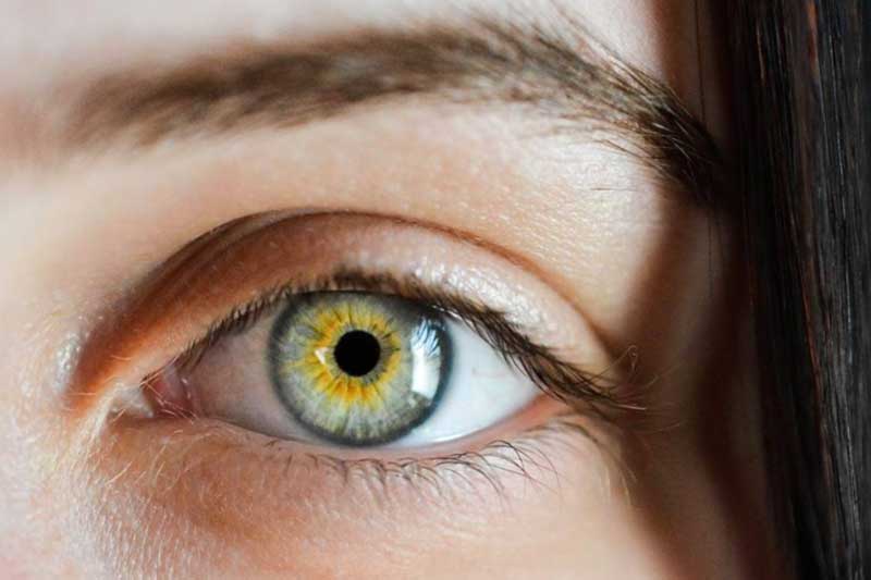 More people reporting computer vision syndrome amid pandemic: ASSOCHAM